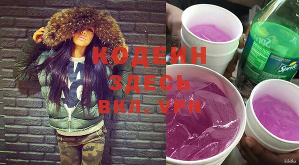 шишки Елизово