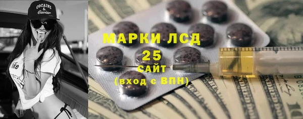 шишки Елизово