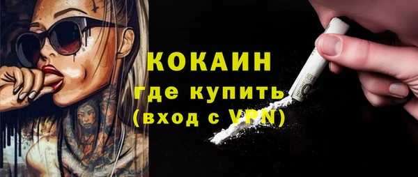 apvp Ельня