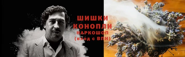 apvp Ельня