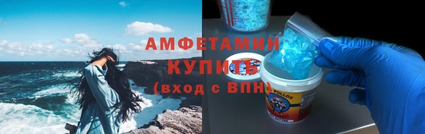 шишки Елизово