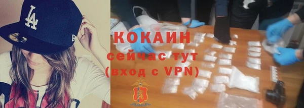 apvp Ельня
