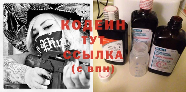 apvp Ельня