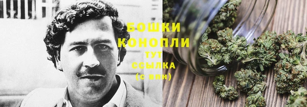 гидропоника Щёлкино