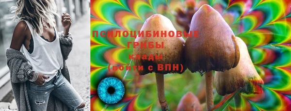 шишки Елизово