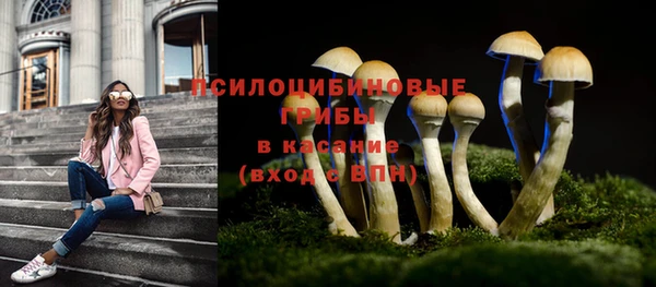 шишки Елизово