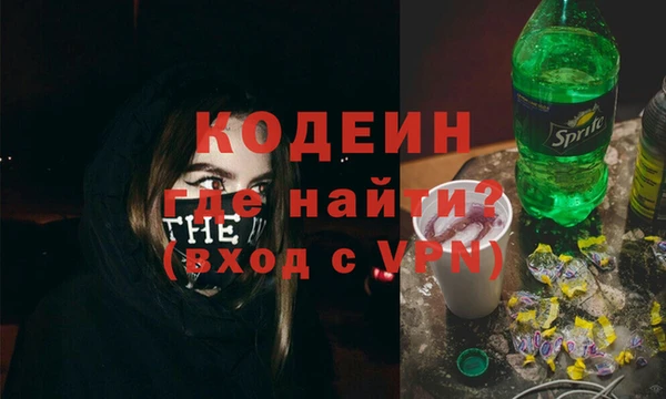 шишки Елизово