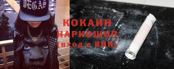 ГАЛЛЮЦИНОГЕННЫЕ ГРИБЫ Дмитриев