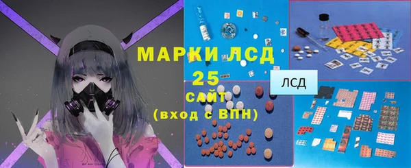 шишки Елизово