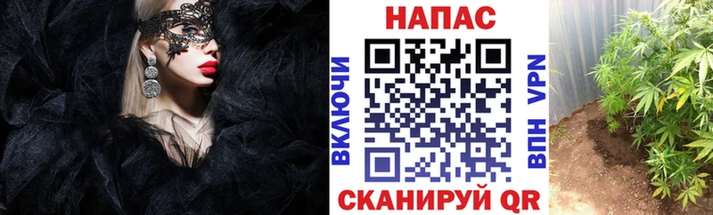 МАРИХУАНА конопля  где купить наркотик  shop формула  Инза 
